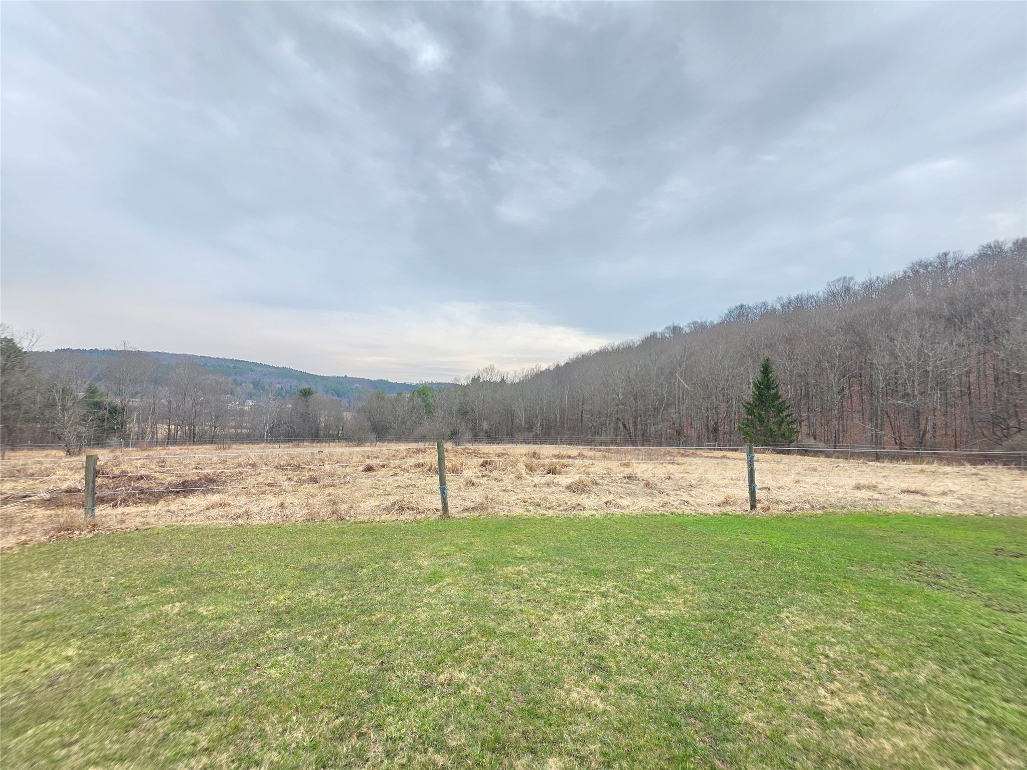 514 Crumtown Road Spencer, NY 14883 - Photo 43 of 50