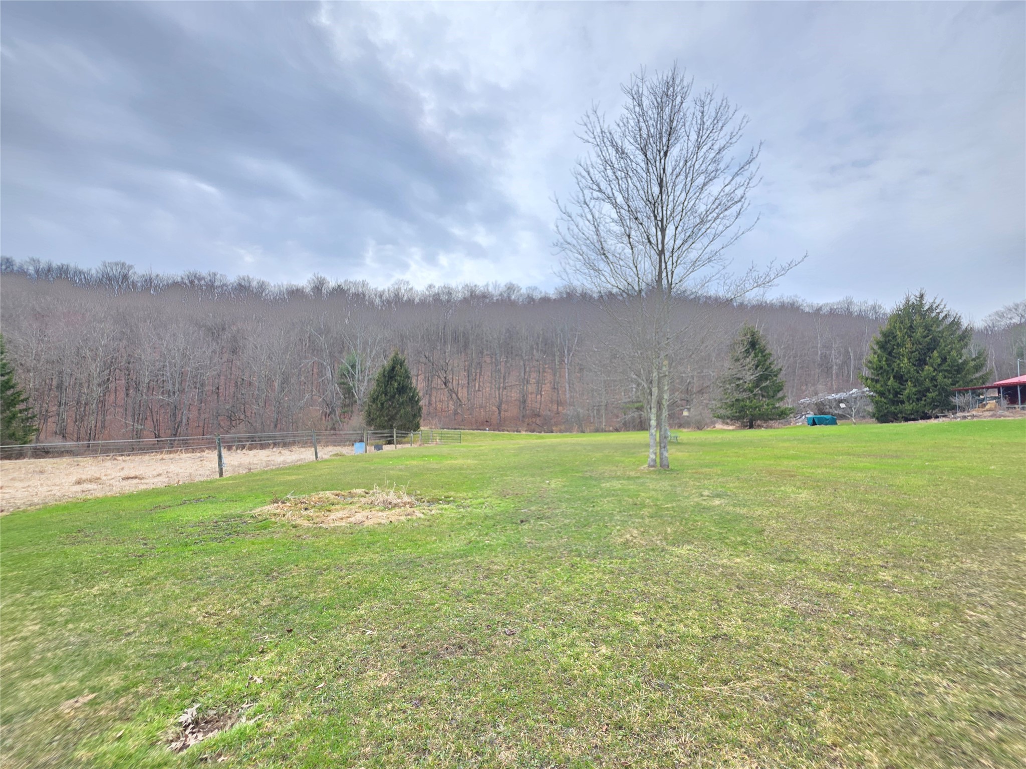 514 Crumtown Road Spencer, NY 14883 - Photo 46 of 50