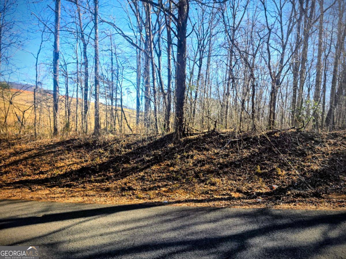 0 Cowart Mountain Tract 1 Road Jasper, GA 30143 - Photo 8 of 13