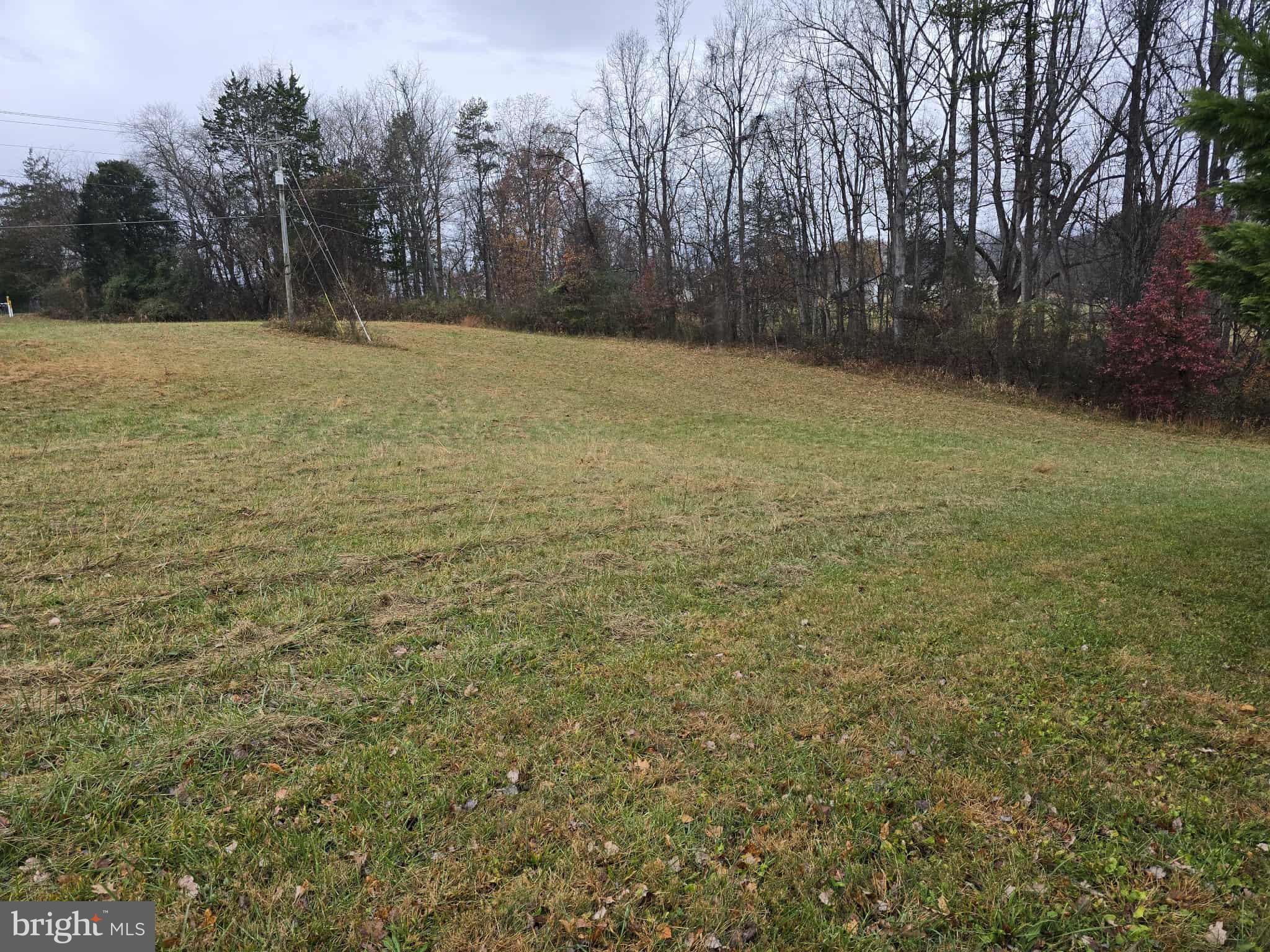 729 Celt Road Stanardsville, VA 22973 - Photo 17 of 28 Gallery Image 17