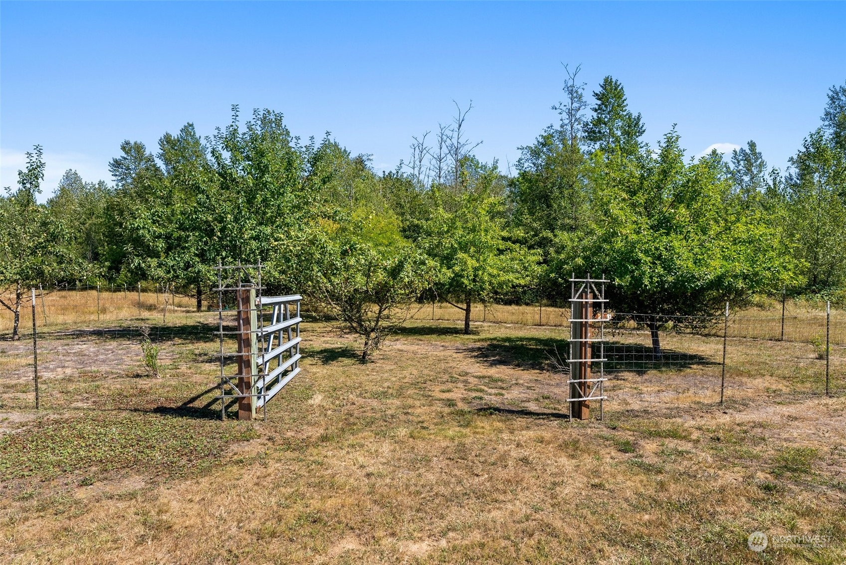166 Berg Road Onalaska, WA 98570 - Photo 31 of 39 Gallery Image 31