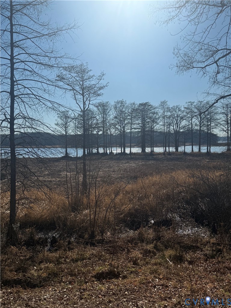 0 Turners Landing Road Lanexa, VA 23089 - Photo 4 of 8