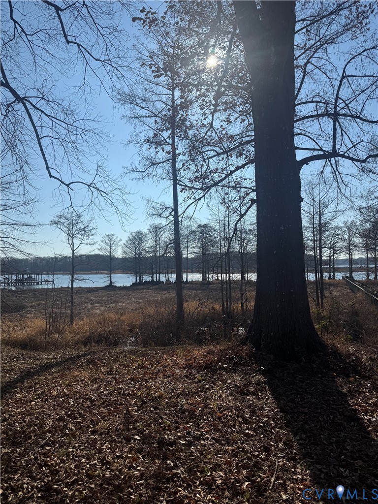 0 Turners Landing Road Lanexa, VA 23089 - Photo 6 of 8