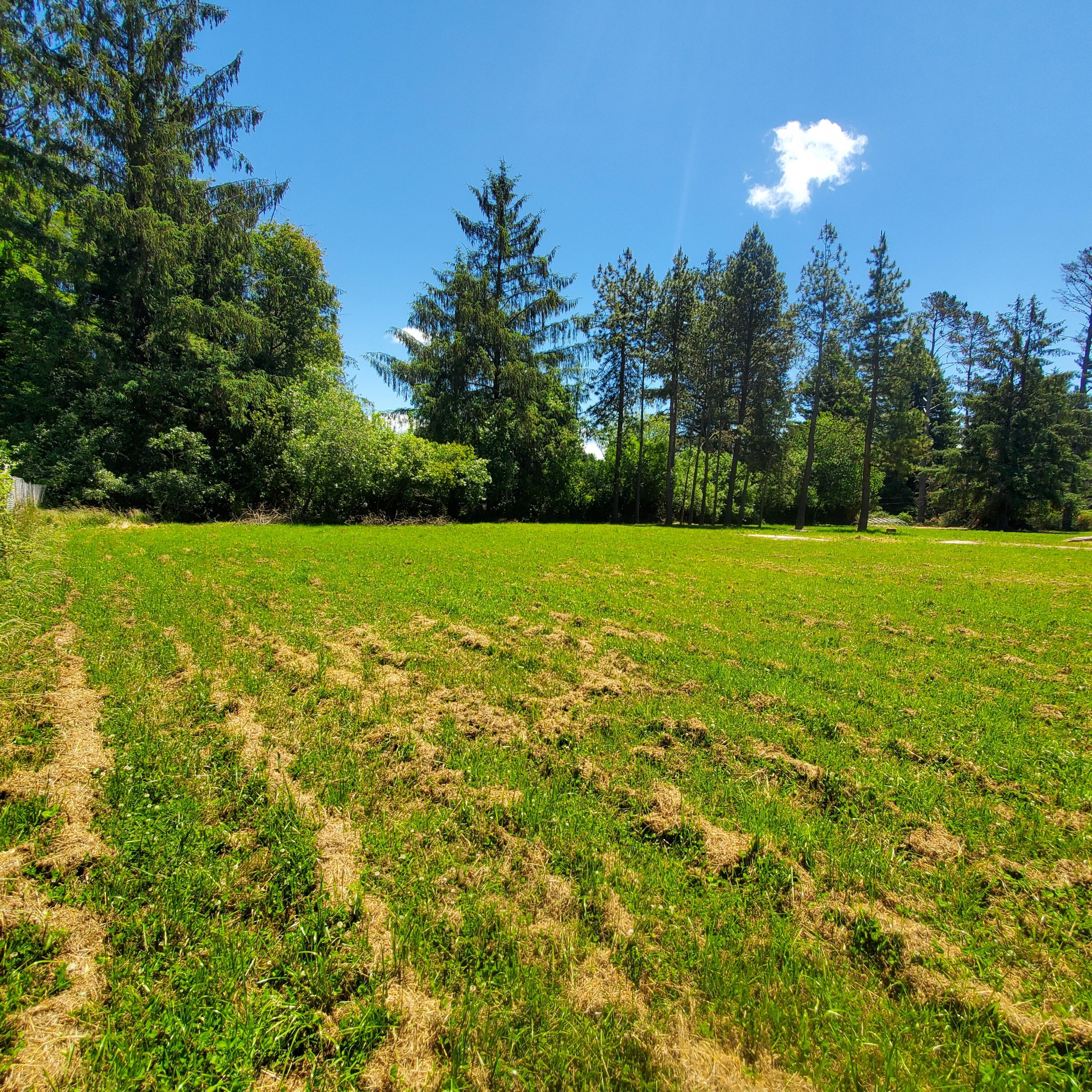 Flat, green and ready to build