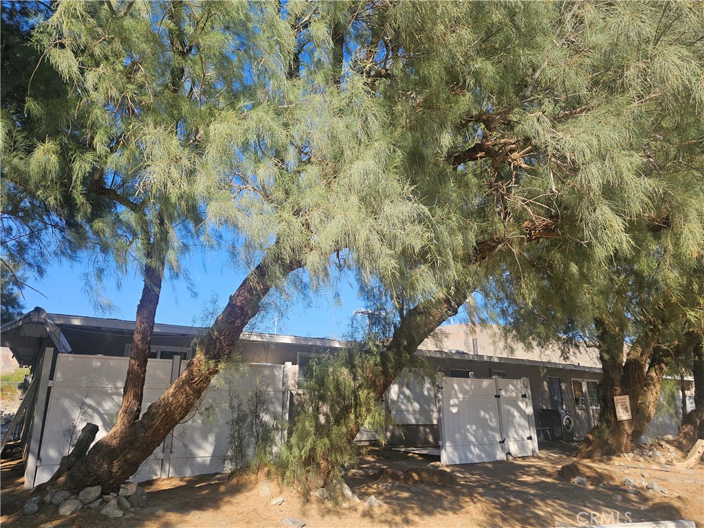 13391 Mesquite Road Whitewater, CA 92282 - Photo 16 of 17 a view of a yard