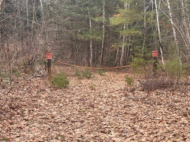 East Side Road Wentworth, NH 03282 - Photo 2 of 9