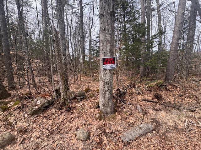 East Side Road Wentworth, NH 03282 - Photo 6 of 9