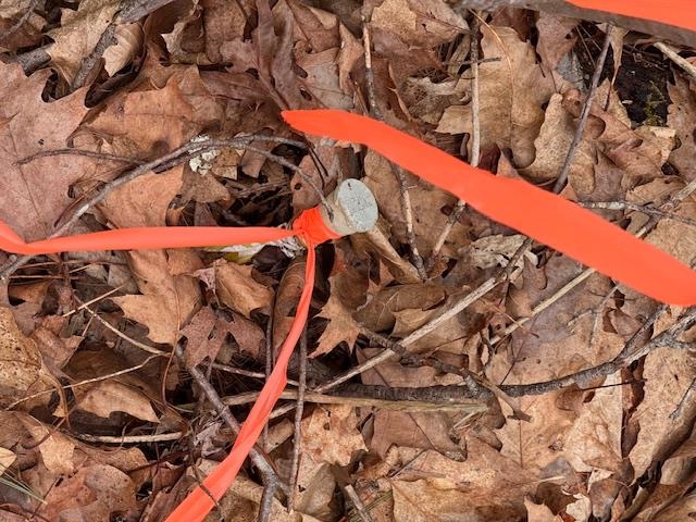 East Side Road Wentworth, NH 03282 - Photo 7 of 9