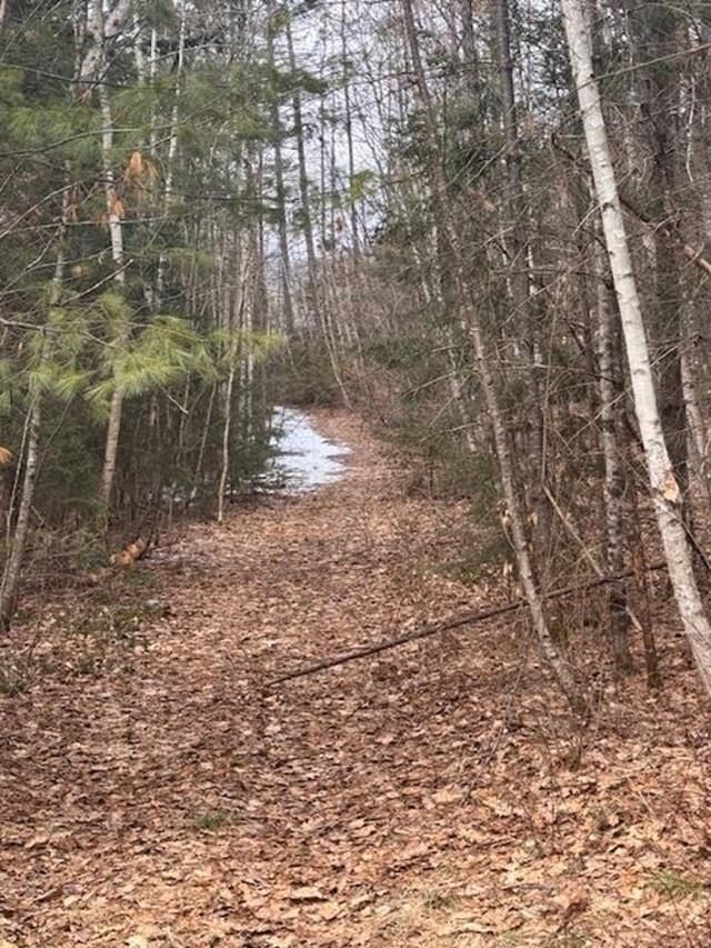 East Side Road Wentworth, NH 03282 - Photo 8 of 9