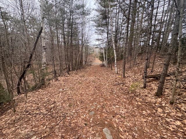 East Side Road Wentworth, NH 03282 - Photo 9 of 9