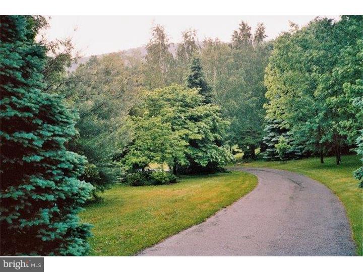 69 Mill Road Fleetwood, PA 19522 - Photo 5 of 15 Driveway