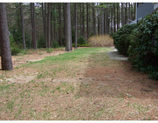 6 Green Needles Road Littleton, MA 01460 - Photo 15 of 20