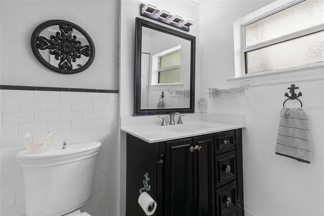 a view of a backyard with plants