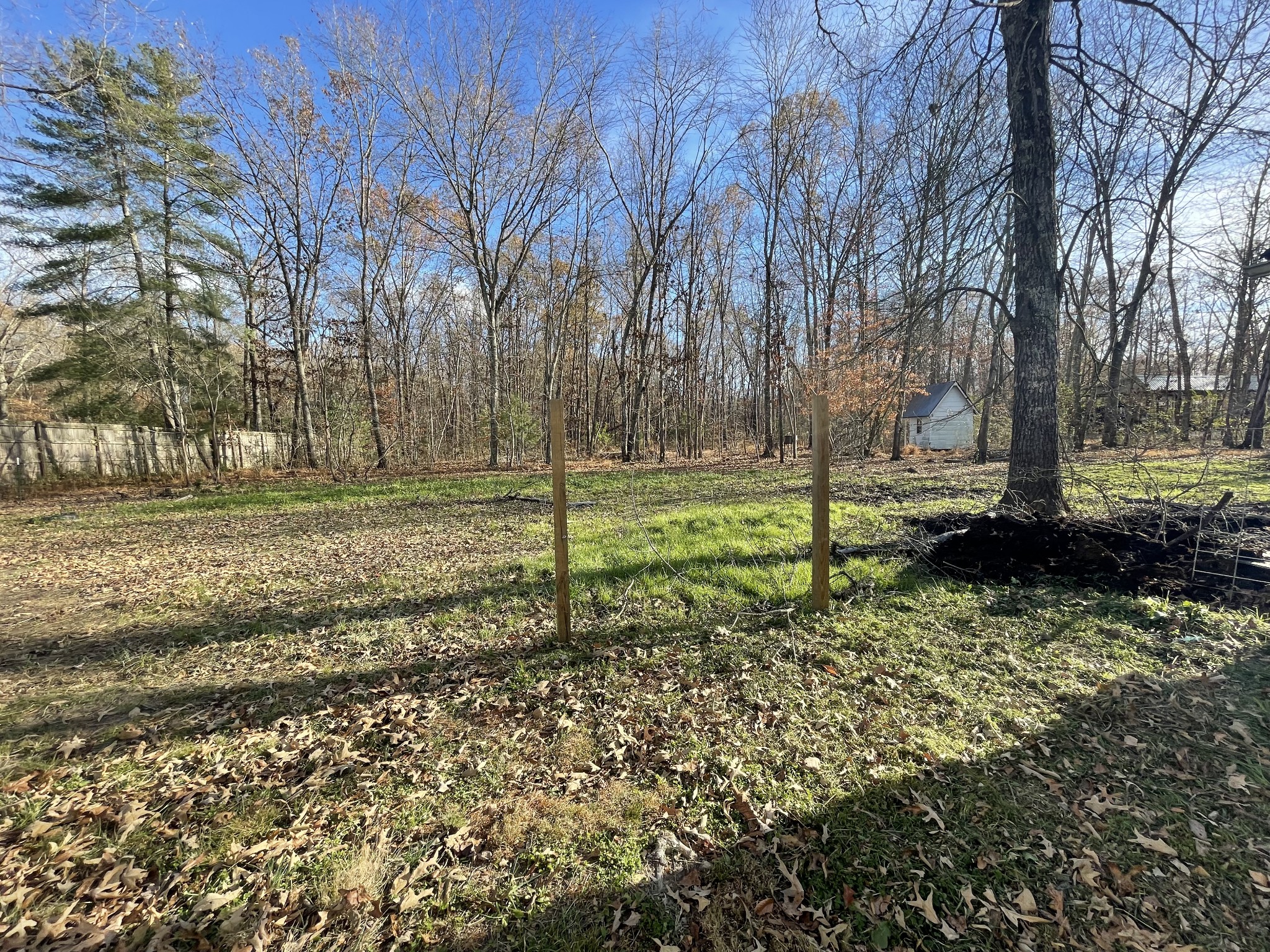 2689 Cat Creek Road Manchester, TN 37355 - Photo 11 of 28 Gallery Image 11