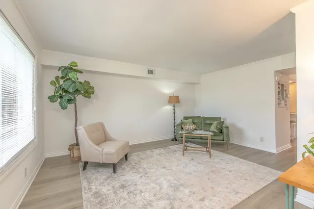 a living room with furniture and a potted plant
