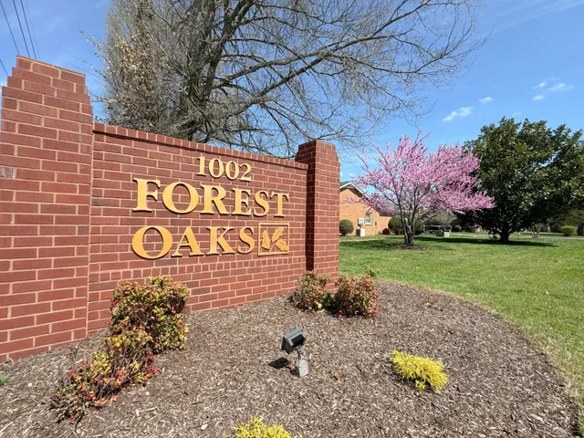 a view of a street with benches and trees
