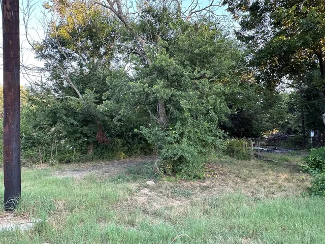 a view of a lush green forest