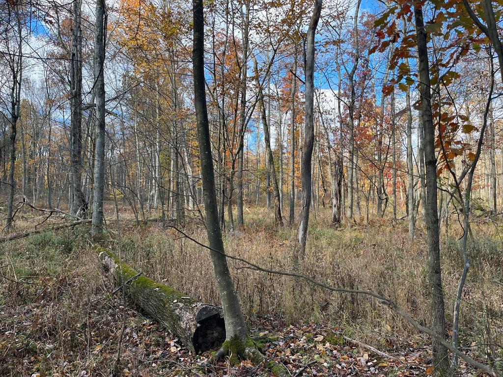 0 Cherrytree Road Titusville, PA 16354 - Photo 4 of 7