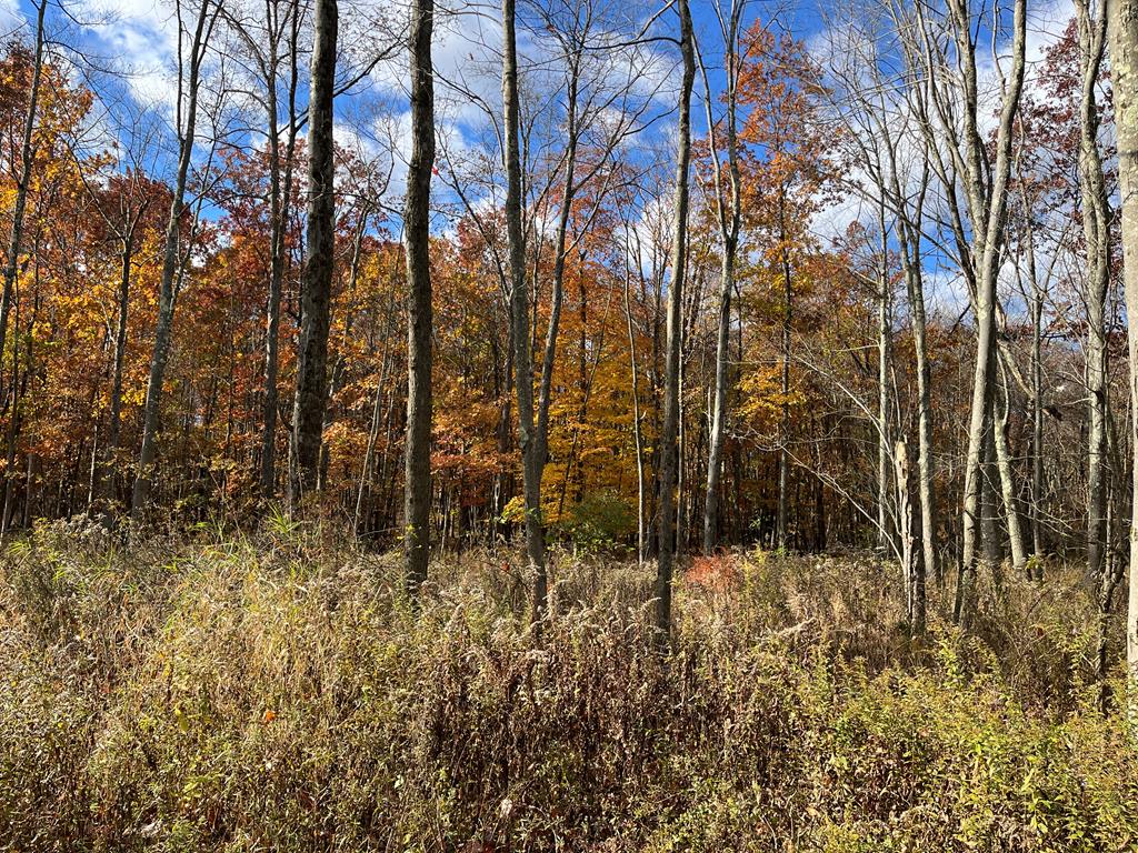 0 Cherrytree Road Titusville, PA 16354 - Photo 7 of 7