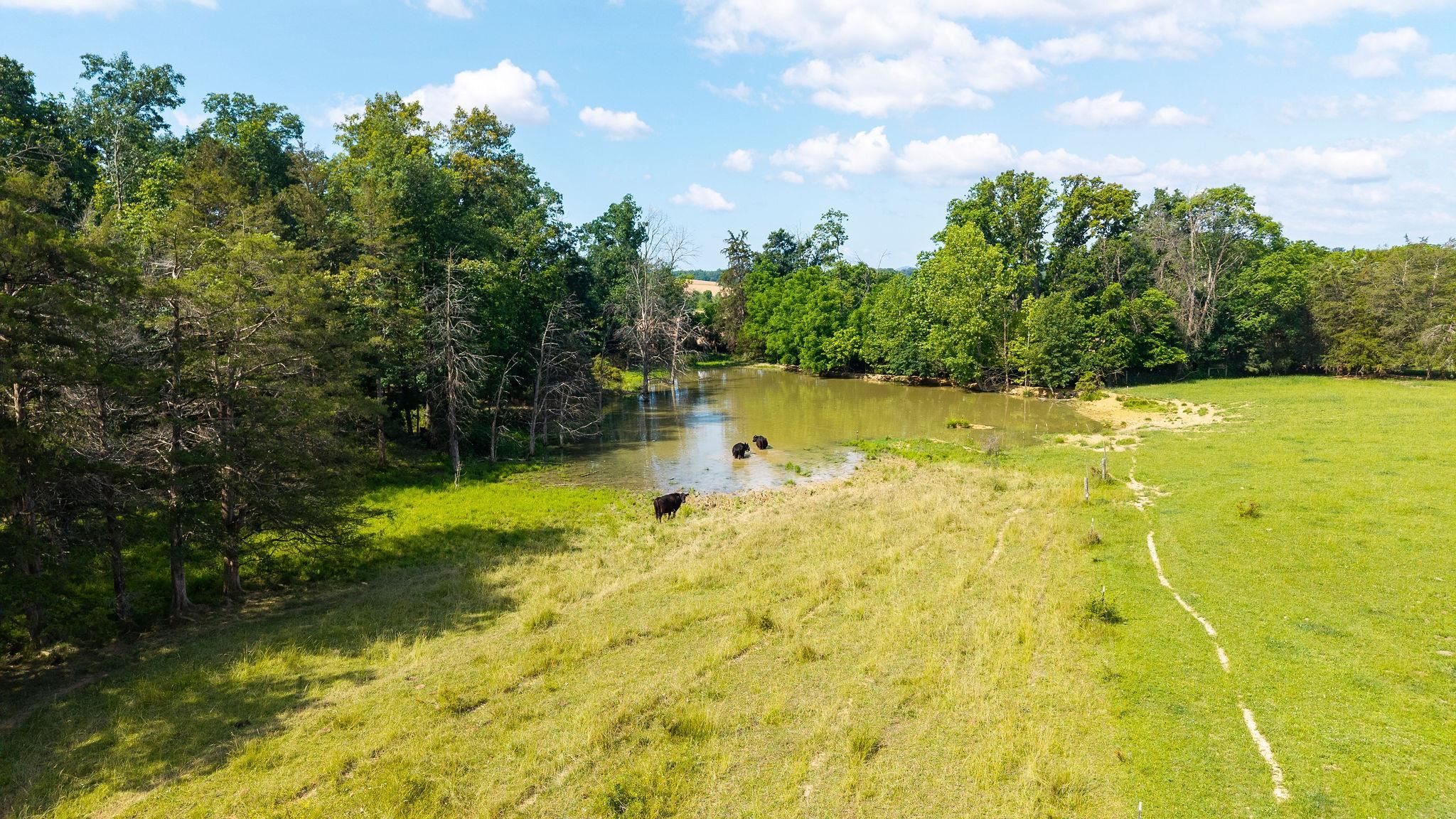 2010 Knightly Mill Road New Hope, VA 24437 - Photo 46 of 53 Gallery Image 46