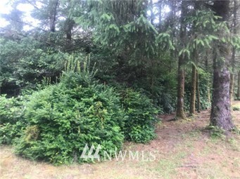 0 Northwest Parris Road Poulsbo, WA 98370 - Photo 1 of 1 Gallery Image 1