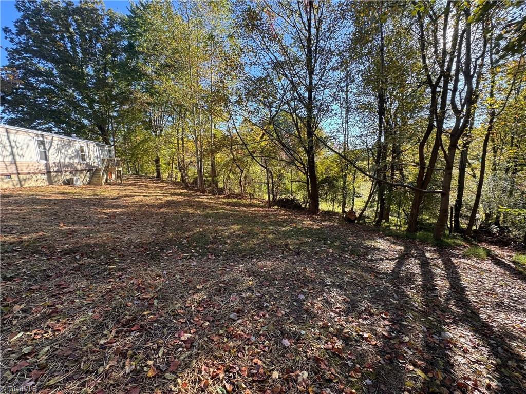 1015 Patterson Farm Road Pinnacle, NC 27043 - Photo 4 of 41