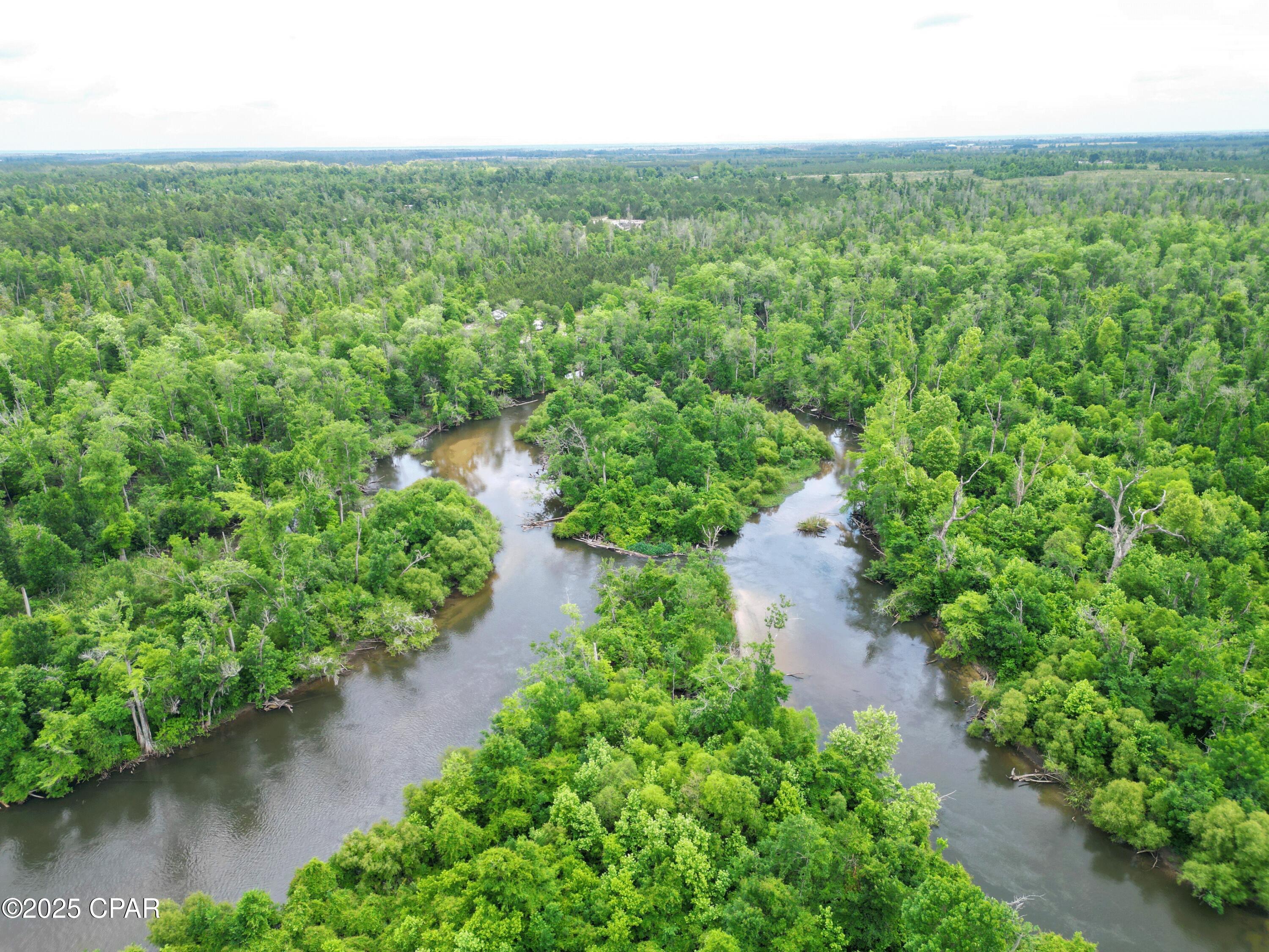 14567 C J Roberts Road Blountstown, FL 32424 - Photo 5 of 11