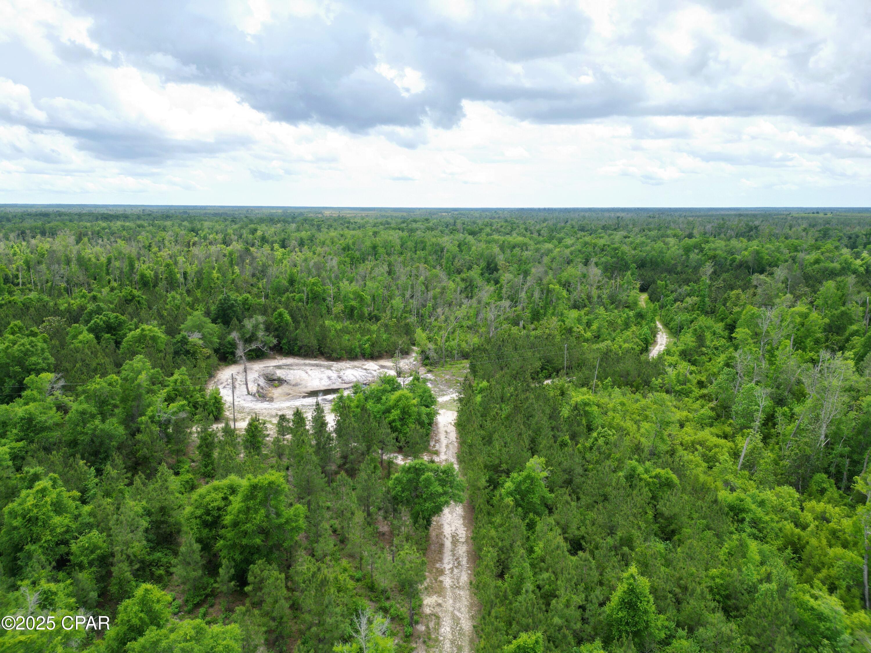 14567 C J Roberts Road Blountstown, FL 32424 - Photo 7 of 11