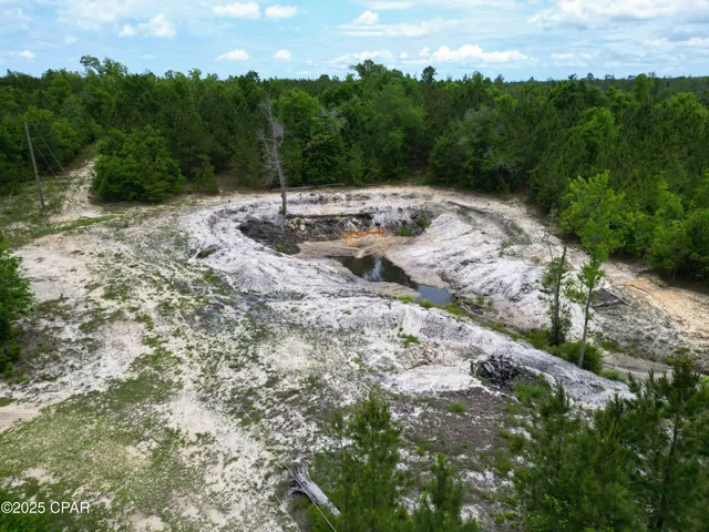 $799,000 | 14567 C J Roberts Road, Blountstown, FL 32424