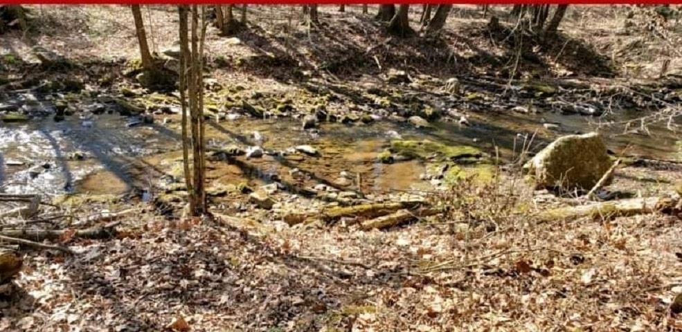 9253 Hone Quarry Road Dayton, VA 22821 - Photo 14 of 17 Gallery Image 14
