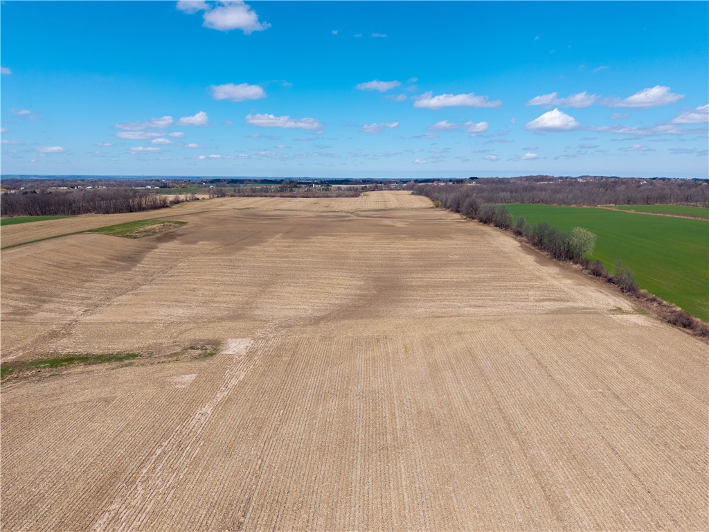 South Lima Rd Road Avon, NY 14414 - Photo 6 of 29