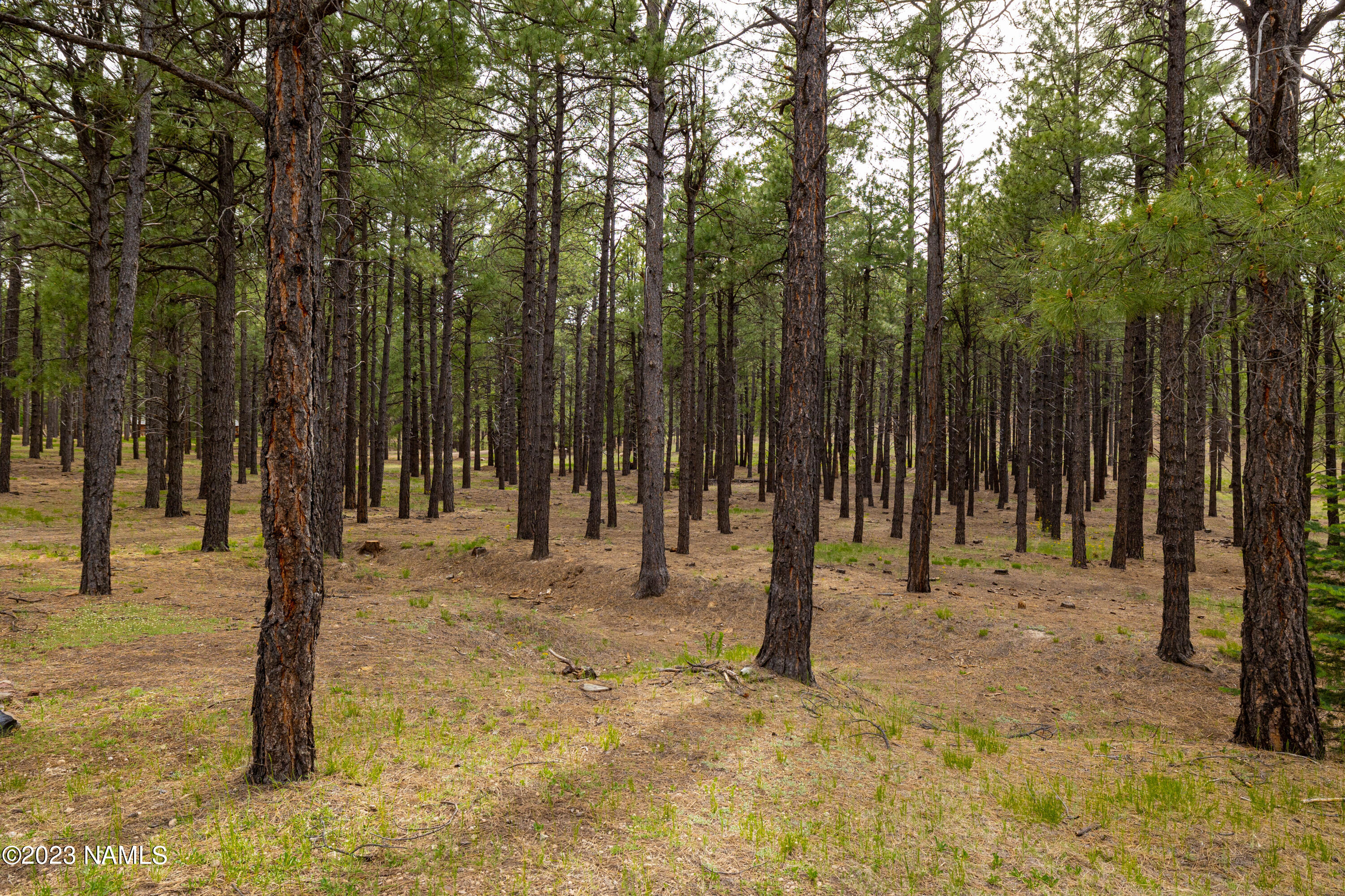 1842 Deer Pass Road Williams, AZ 86046 - Photo 40 of 109 CP-1