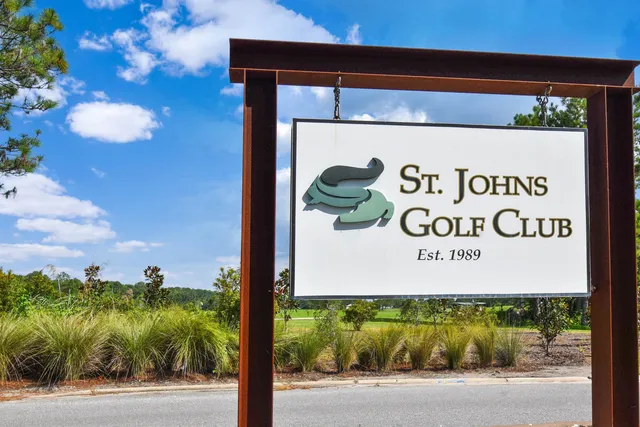 a view of a park with large trees