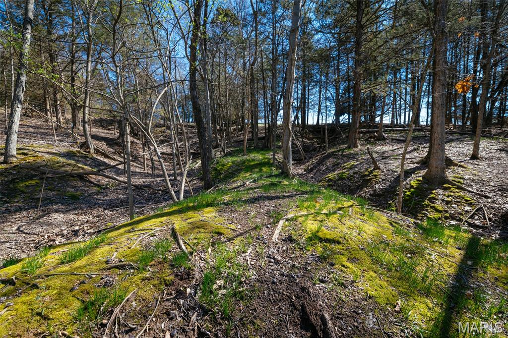 2104 Grand Army Road Labadie, MO 63055 - Photo 61 of 70