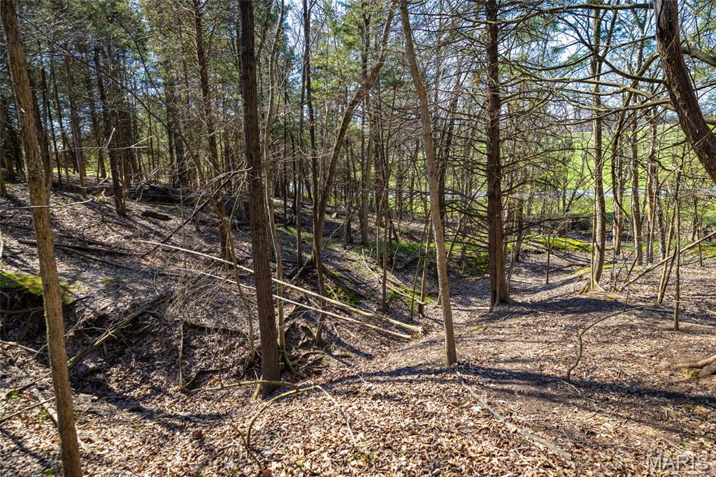 2104 Grand Army Road Labadie, MO 63055 - Photo 62 of 70