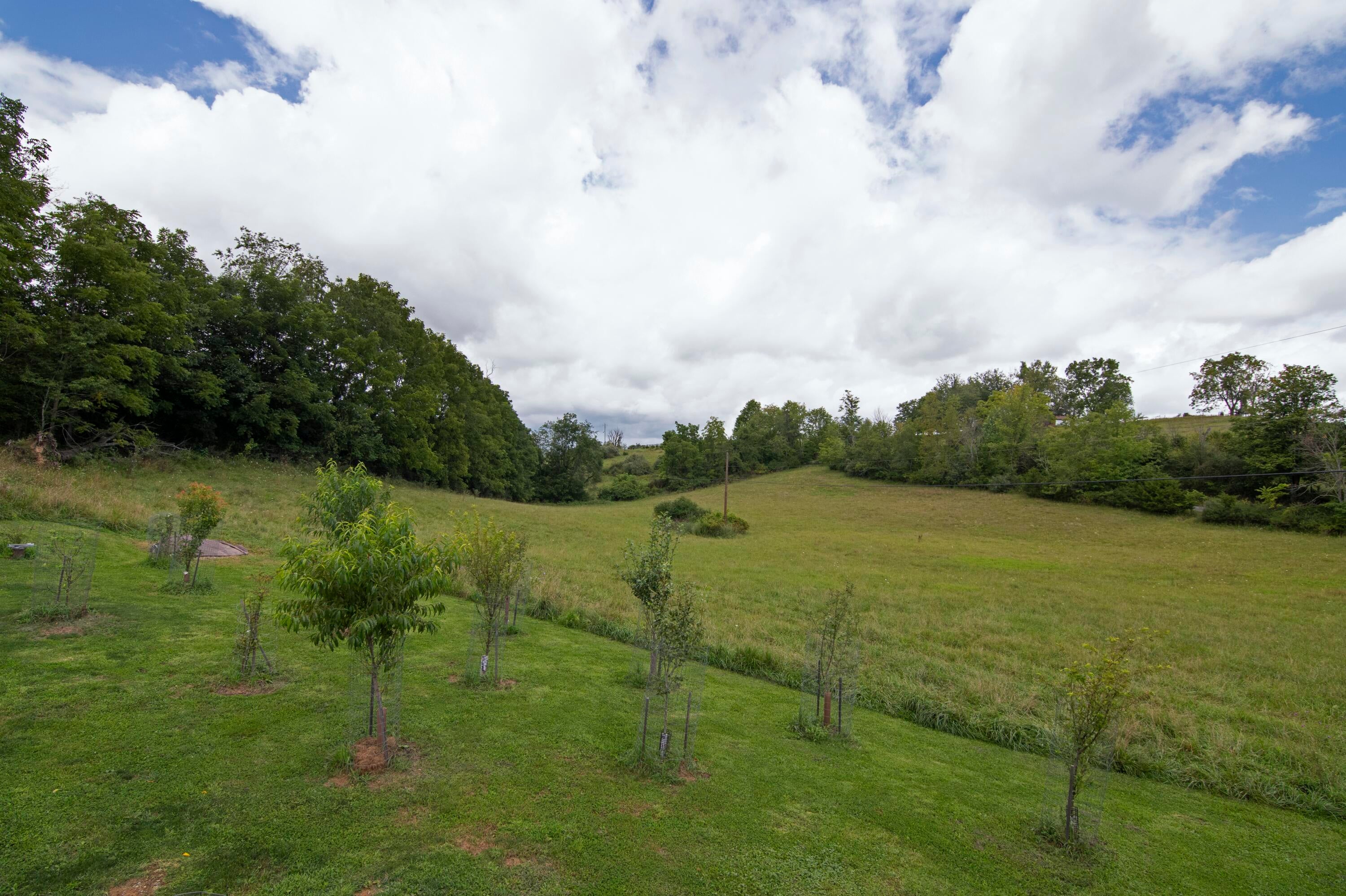 500 Charles Boothe Road Sinks Grove, WV 24976 - Photo 61 of 77 Gallery Image 61