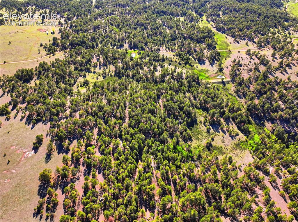 Doe Valley Road Guffey, CO 80820 - Photo 14 of 19 Extensive wooded acreage with varied terrain