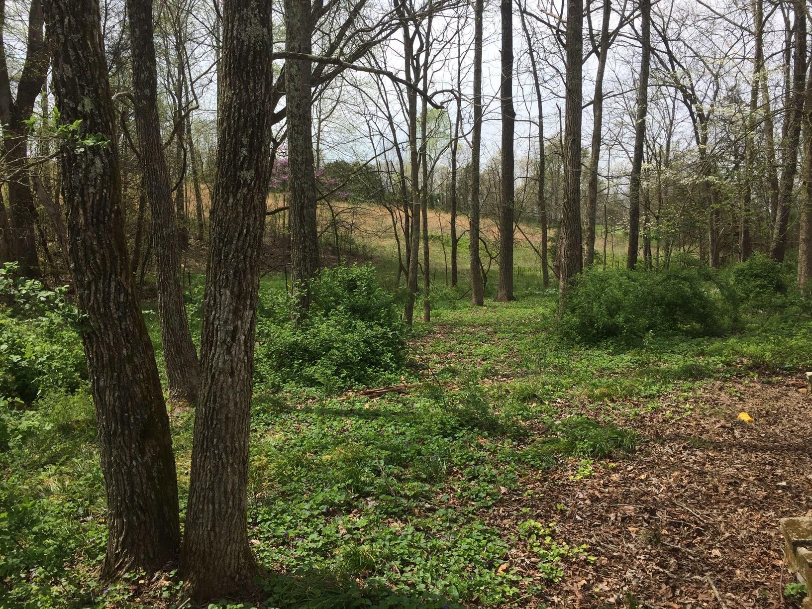 250 Rook Hollow Road Eubank, KY 42567 - Photo 24 of 51 IMG_9988