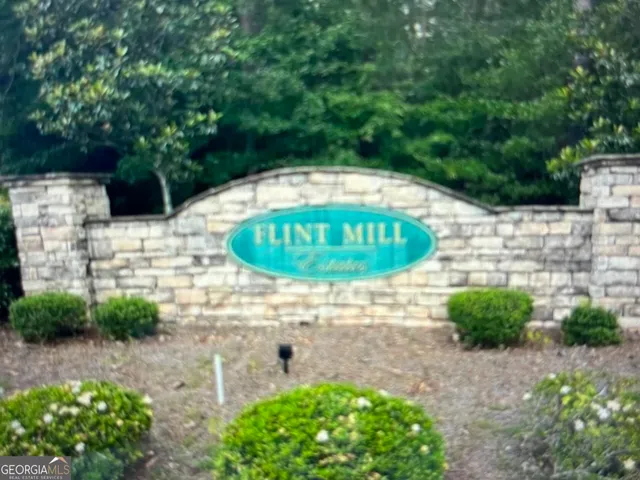 a view of backyard with plants and large trees
