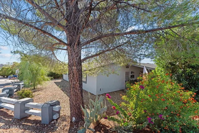 a view of backyard with plants and trees
