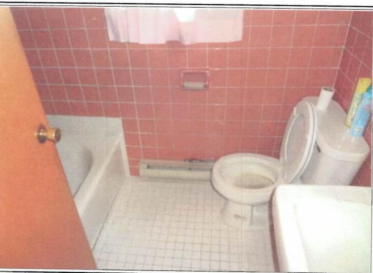5906 Cove Road Roanoke, VA 24019 - Photo 7 of 8 a bathroom with a sink a toilet and a shower