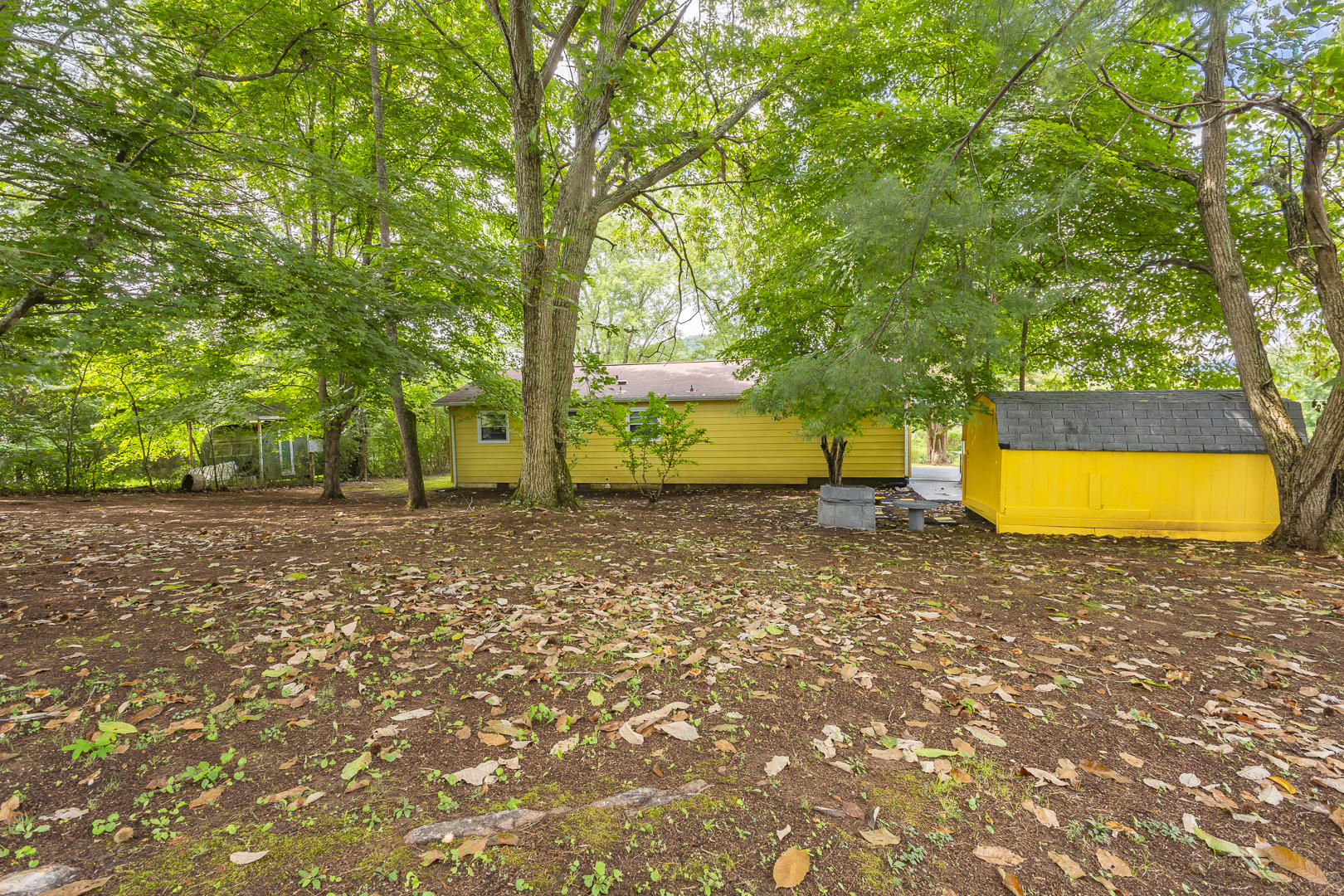 129 Houston Avenue Oak Ridge, TN 37830 - Photo 13 of 13 5D3_1864-HDR