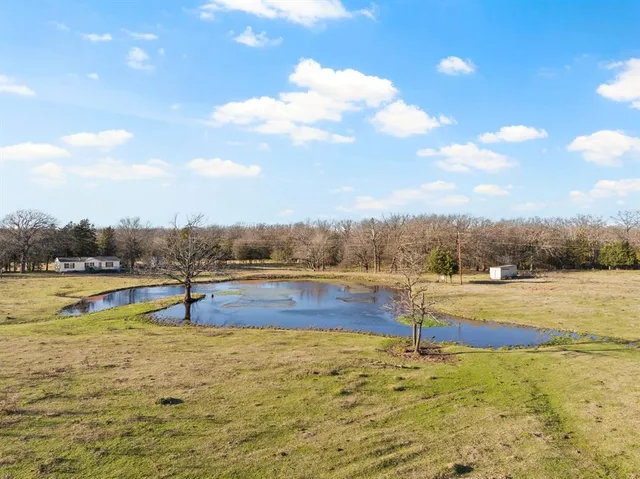 a view of a yard with trees