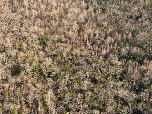 a view of an ocean and beach