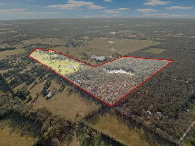 a view of a yard in front of a house with large trees