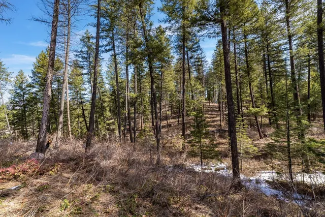 $649,900 | Nka North Union Avenue, Newport, WA 99156