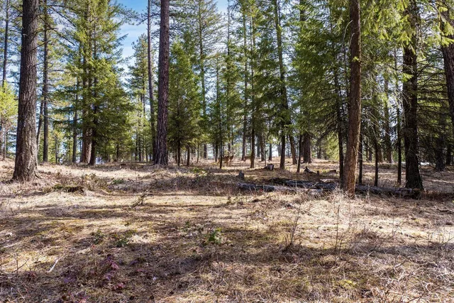 $649,900 | Nka North Union Avenue, Newport, WA 99156