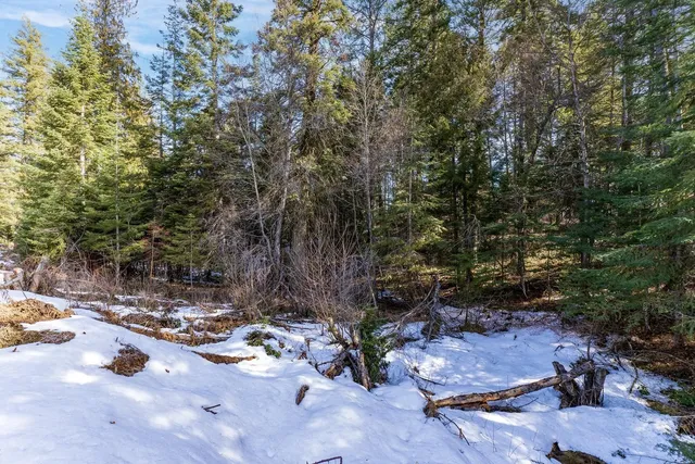 $649,900 | Nka North Union Avenue, Newport, WA 99156