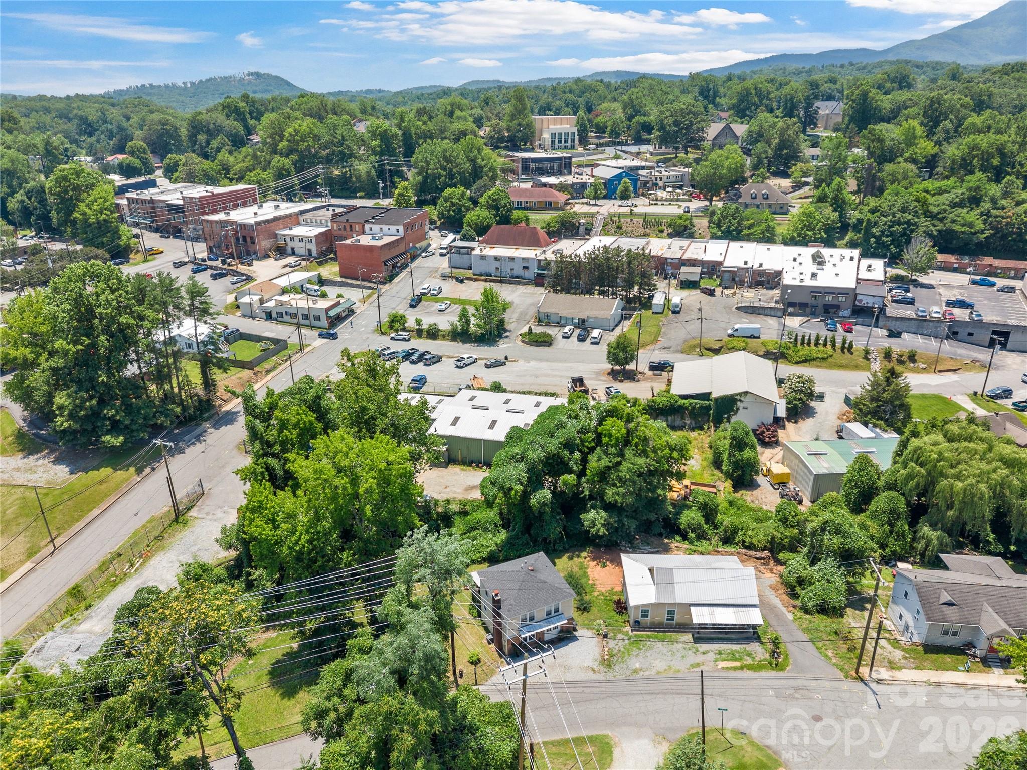 144 East Howard Street Tryon, NC 28782 - Photo 37 of 44