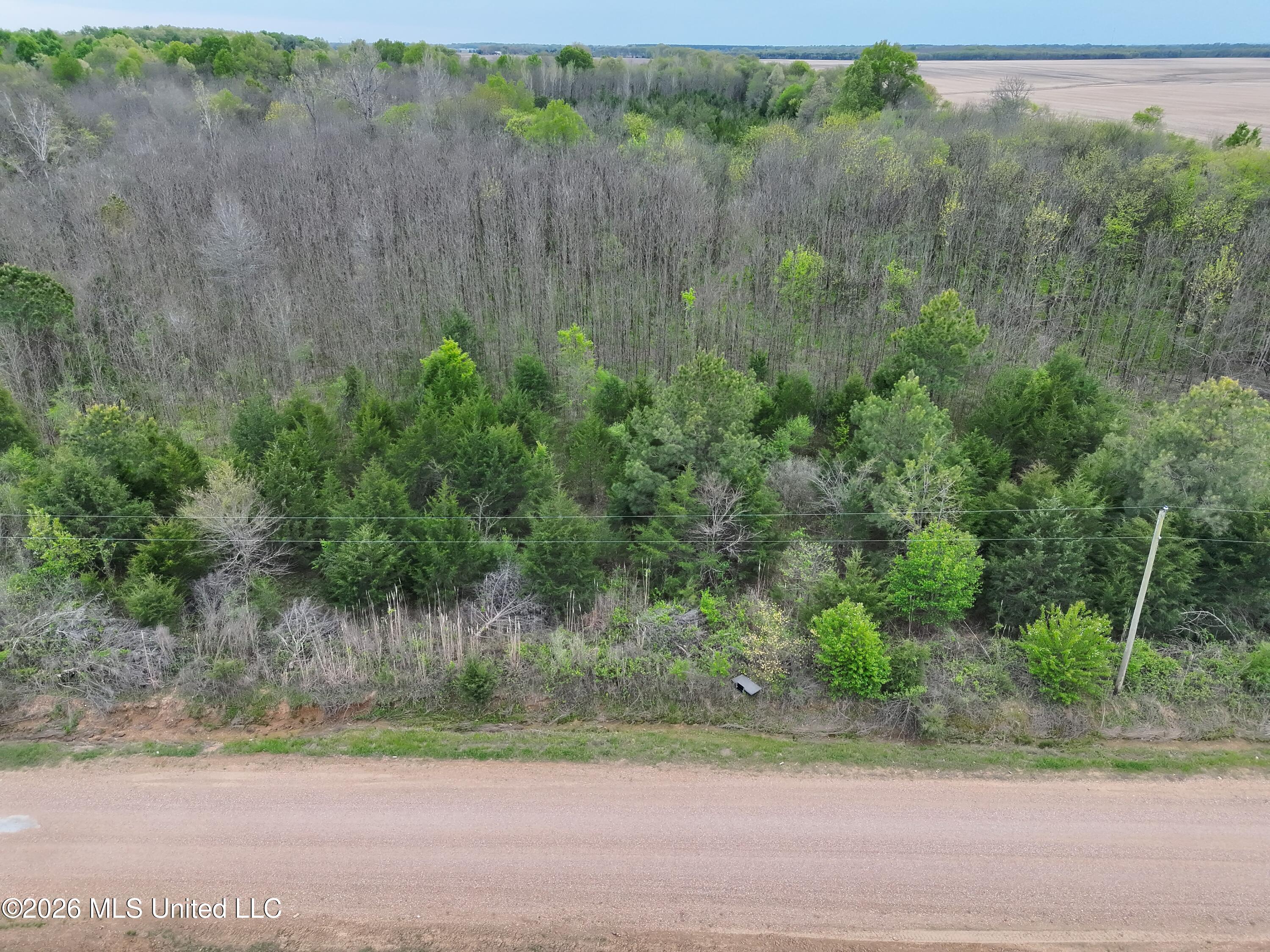 0 White Rock Road Aberdeen, MS 39730 - Photo 5 of 11 mo-ms-472 _5